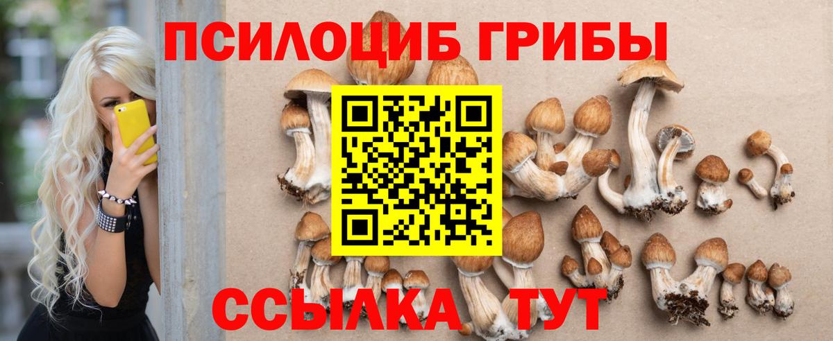 Галлюциногенные грибы Psilocybine cubensis Дзержинск