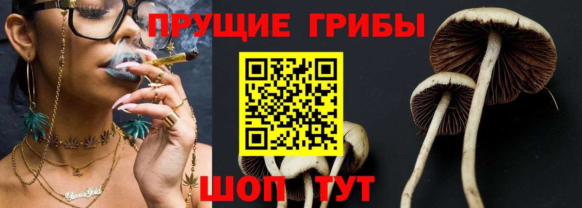 Дзержинск  Псилоцибиновые грибы ЛСД  Вход с VPN  Галлюциногенные грибы ЛСД 